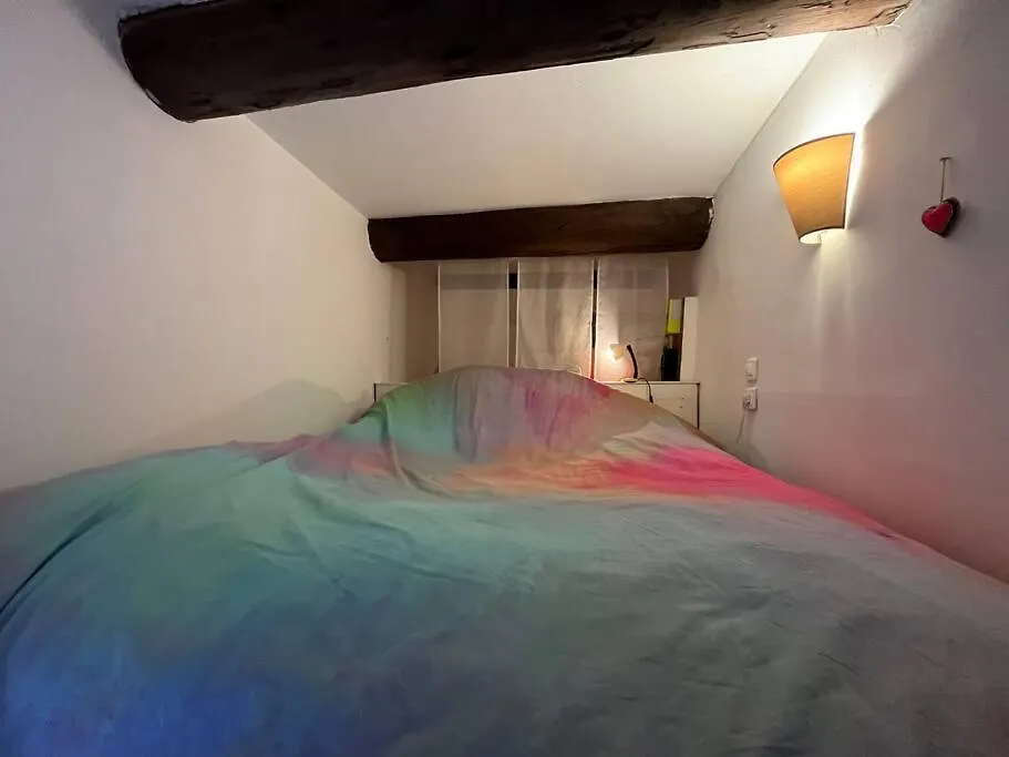 Studio Atypique Camas Marseille Apartment
