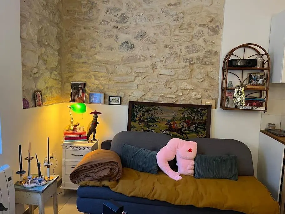 Studio Atypique Camas Marseille Apartment
